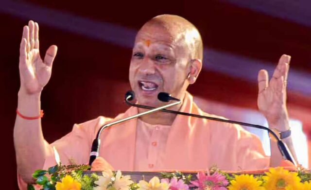 yogi_102_2-10.jpg