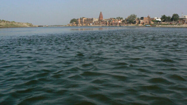 17A_217.jpg