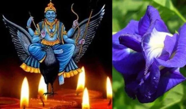 Dharm_News_02-2-3.jpg