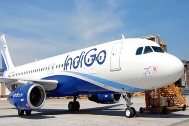 indigo-3.jpg