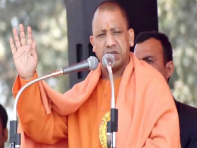 yogi-7.jpg