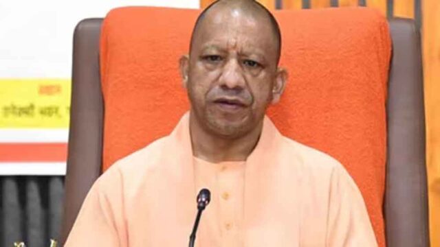 yogi3-1.jpg