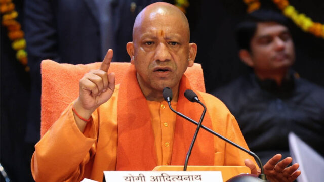 yogi_133_1-1.jpg