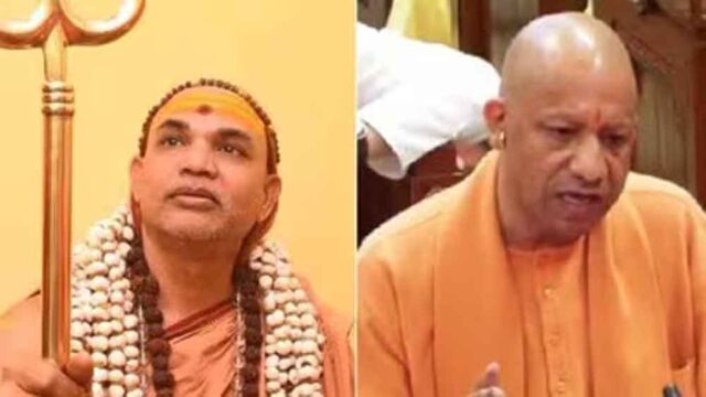 yogi-5.jpg