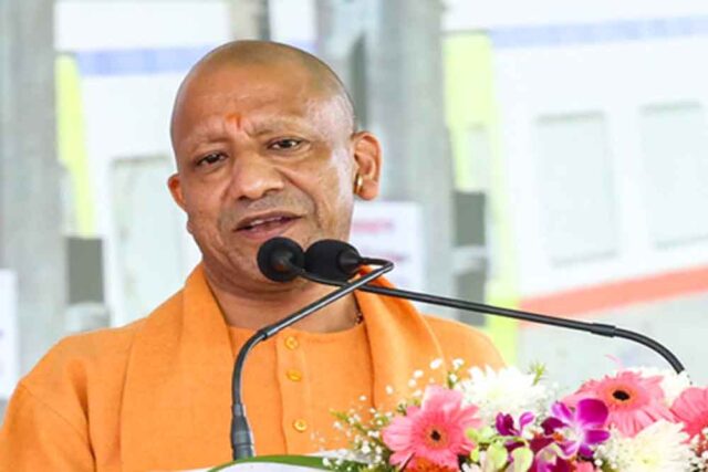 yogi3-1.jpg