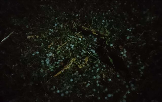21A_98.jpg