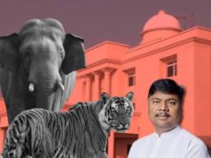 छत्तीसगढ़ विधानसभा में वन मंत्री ने किया खुलासा, तीन साल में 9 बाघ और 38 हाथियों की मौत
