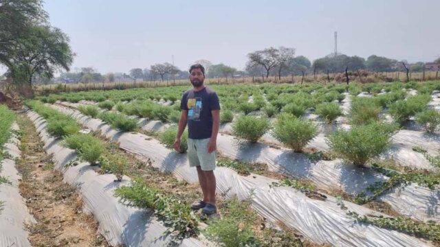 Farming_01-1.jpg