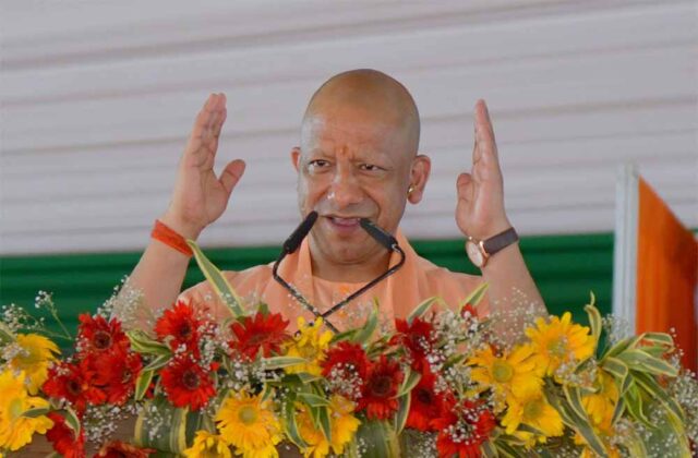 Yogi_01-14.jpg