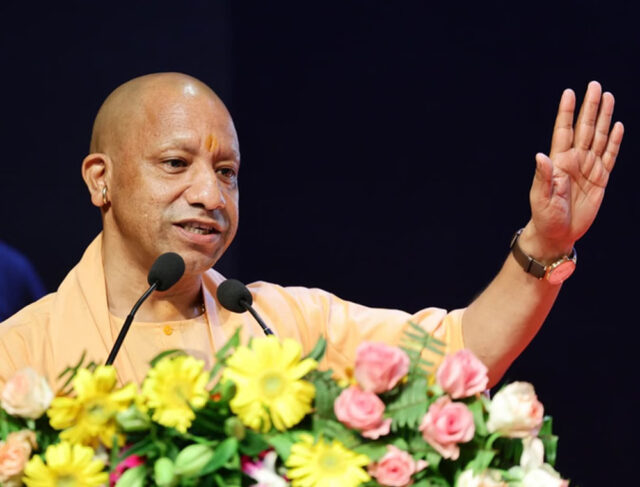 yogi-12.jpg