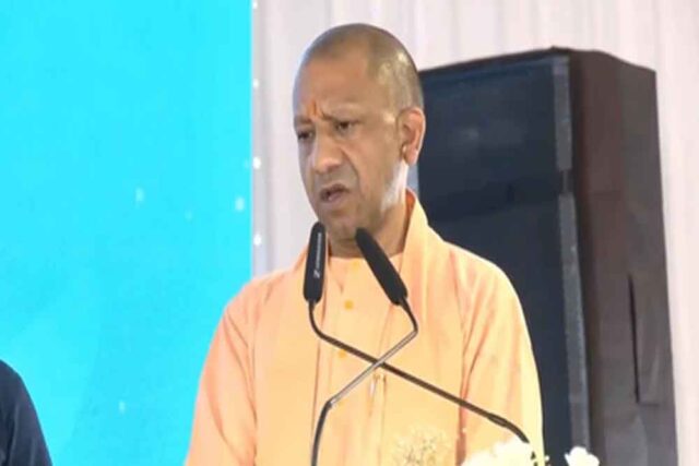 yogi-3.jpg