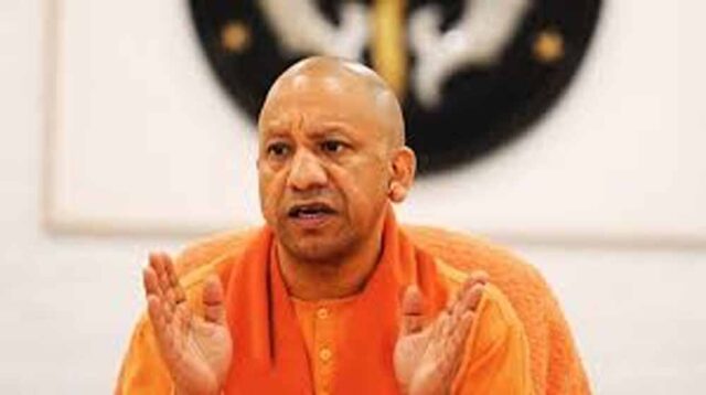 yogi_04.jpg