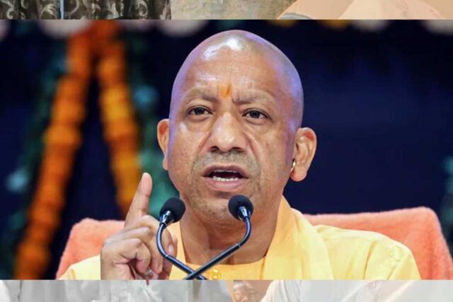 yogi_89_1-8.jpg
