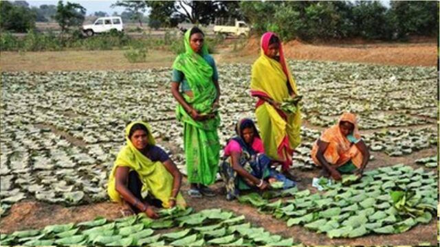Chhattisgarh_News_08-1-1.jpg