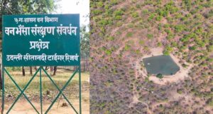 उदंती सीतानदी टाइगर रिजर्व में ‘फायर-वॉटर’ मॉडल का कमाल, 750 जल स्रोत और हाईटेक निगरानी से जंगल सुरक्षित