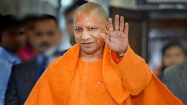 yogi2-1.jpg