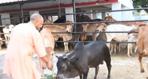 सीएम योगी के निर्देश पर चार बड़ी महत्वाकांक्षी योजनाएं पूरे प्रदेश में लागू, ग्रामीण अर्थव्यवस्था को मिलेगी नई ताकत