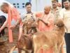 गोसंरक्षण से ग्रामोदय तक, योगी सरकार का बदलता उत्तर प्रदेश मॉडल