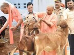 गोसंरक्षण से ग्रामोदय तक, योगी सरकार का बदलता उत्तर प्रदेश मॉडल