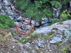 चंबा के साच पास में दर्दनाक हादसा: टैक्सी खाई में गिरी, चालक समेत 8 पर्यटकों की मौत