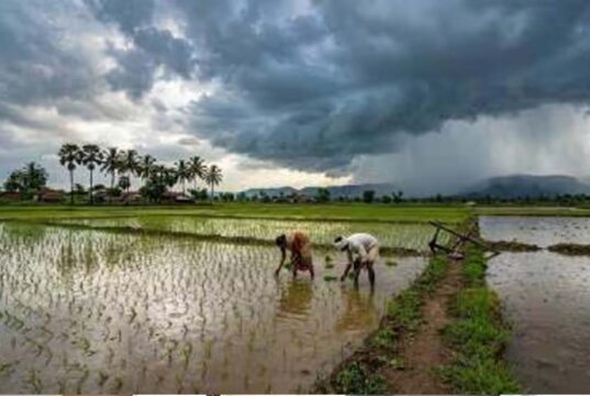 मानसून 2026 की जल्द दस्तक! कल केरल पहुंच सकता है दक्षिण-पश्चिम मानसून, मौसम अनुकूल