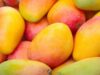 Japan Mango Ban: जापान ने भारतीय आमों पर लगाया बैन, जानिए वहां किस आम की सबसे ज्यादा डिमांड