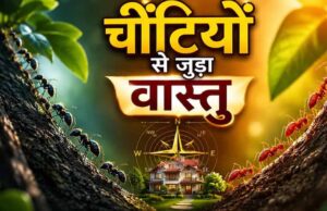घर में चींटियों का दिखना शुभ या अशुभ? वास्तु शास्त्र में जानिए इसके संकेत
