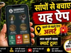 सांपों से बचाव में मदद करेगा ‘Big 4 Mapper’ ऐप: खतरे वाले इलाकों की मिलेगी जानकारी
