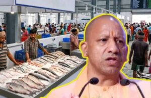 यूपी में मत्स्य कारोबार को मिलेगा बड़ा बूस्ट, गोरखपुर-मुरादाबाद में बनेंगी आधुनिक फिश मंडियां