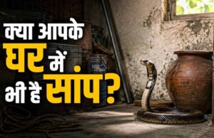 घर में सांप दिखना शुभ या अशुभ? जानें वास्तु शास्त्र क्या कहता है