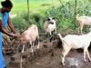 धमतरी का भटगांव बनेगा इनोवेशन हब