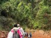 मुख्यमंत्री स्वस्थ बस्तर अभियान