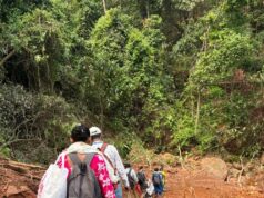 मुख्यमंत्री स्वस्थ बस्तर अभियान