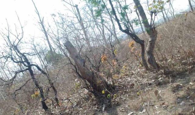 Chhattisgarh_03-1-6.jpg