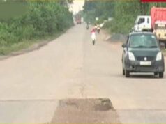 रायगढ़ में दर्दनाक हादसा, भारतमाला सड़क पर तेज रफ्तार वाहन ने 7 बैलों को कुचला; 5 की मौत