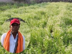 महासमुंद के किसान रतिराम की बदली किस्मत, धनिया की खेती से बढ़ी आमदनी