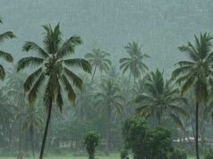 केरल में मॉनसून की रफ्तार धीमी, मौसम विभाग ने बताई देरी की वजह