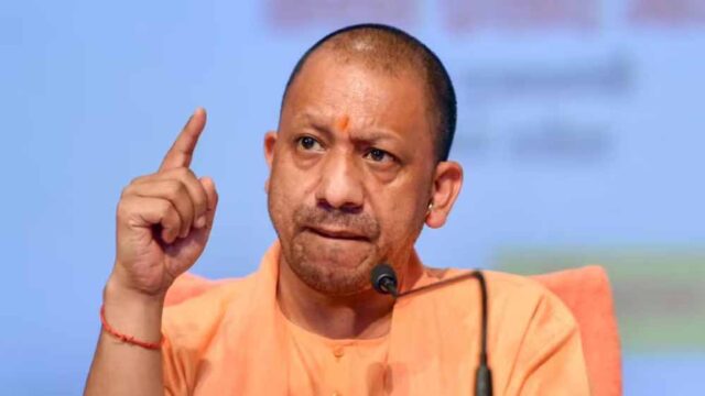 Yogi_03-20.jpg