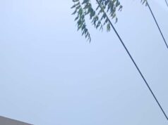 एमपी ट्रांसको ने सुरक्षित दूरी सुनिश्चित कर मानव जीवन को जोखिम से बचाया