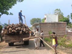 गौरेला क्षेत्र में सागौन की अवैध कटाई पर वन विभाग की बड़ी कार्रवाई