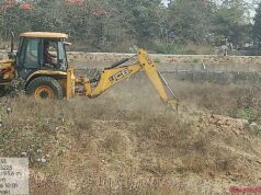 बिलासपुर की लाइफलाइन अरपा के तट पर उगेगा मियावाकी जंगल