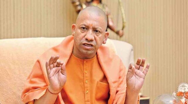 yogi_01-12.jpg