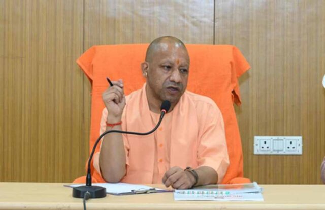 yogi_02-24.jpg