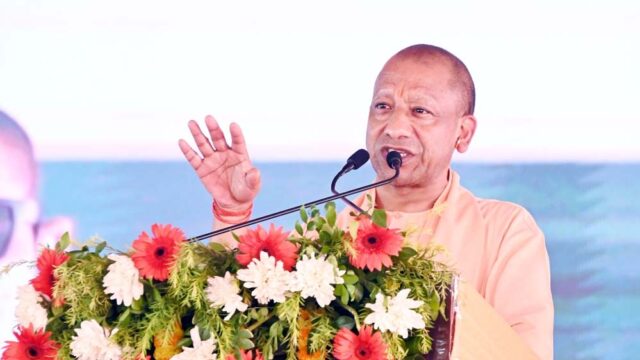 yogi_52-1.jpg