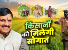 धान महोत्सव में किसानों की बल्ले-बल्ले! CM डॉ. मोहन यादव 1 जुलाई को सिवनी से जारी करेंगे ₹2.82 करोड़