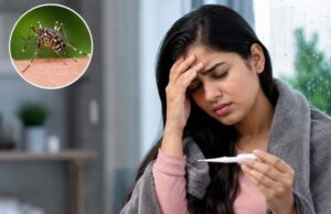 मानसून में मलेरिया का खतरा बढ़ा: जानें इसके शुरुआती लक्षण और समय रहते कैसे पहचानें