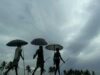 आ गई खुशखबरी! भारत में मानसून की धमाकेदार एंट्री, जानिए यूपी-बिहार में कब देगा दस्तक