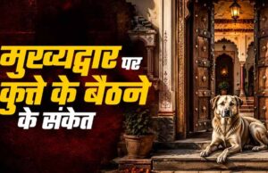 श्वान का धार्मिक महत्व: भैरव वाहन और सुरक्षा कवच की मान्यता