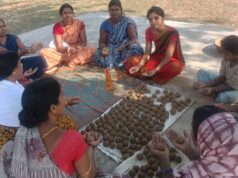 सीड बॉल बनाकर प्रकृति संरक्षण की अनूठी पहल, हरित जशपुर के निर्माण पर जोर