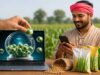बीज उत्पादन योजना के लिए 10 से 24 तक होंगे पंजीयन, किसान रखें जरूरी दस्तावेज तैयार